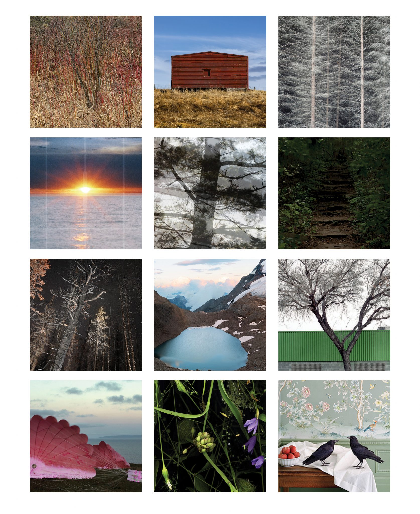 Dobson in "A Rare Find" Auction Michael Gibson Gallery