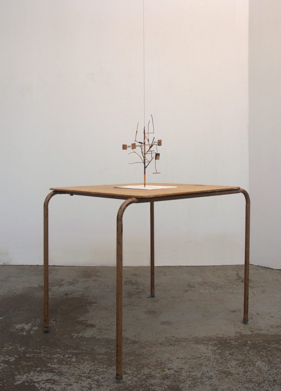 David Merritt